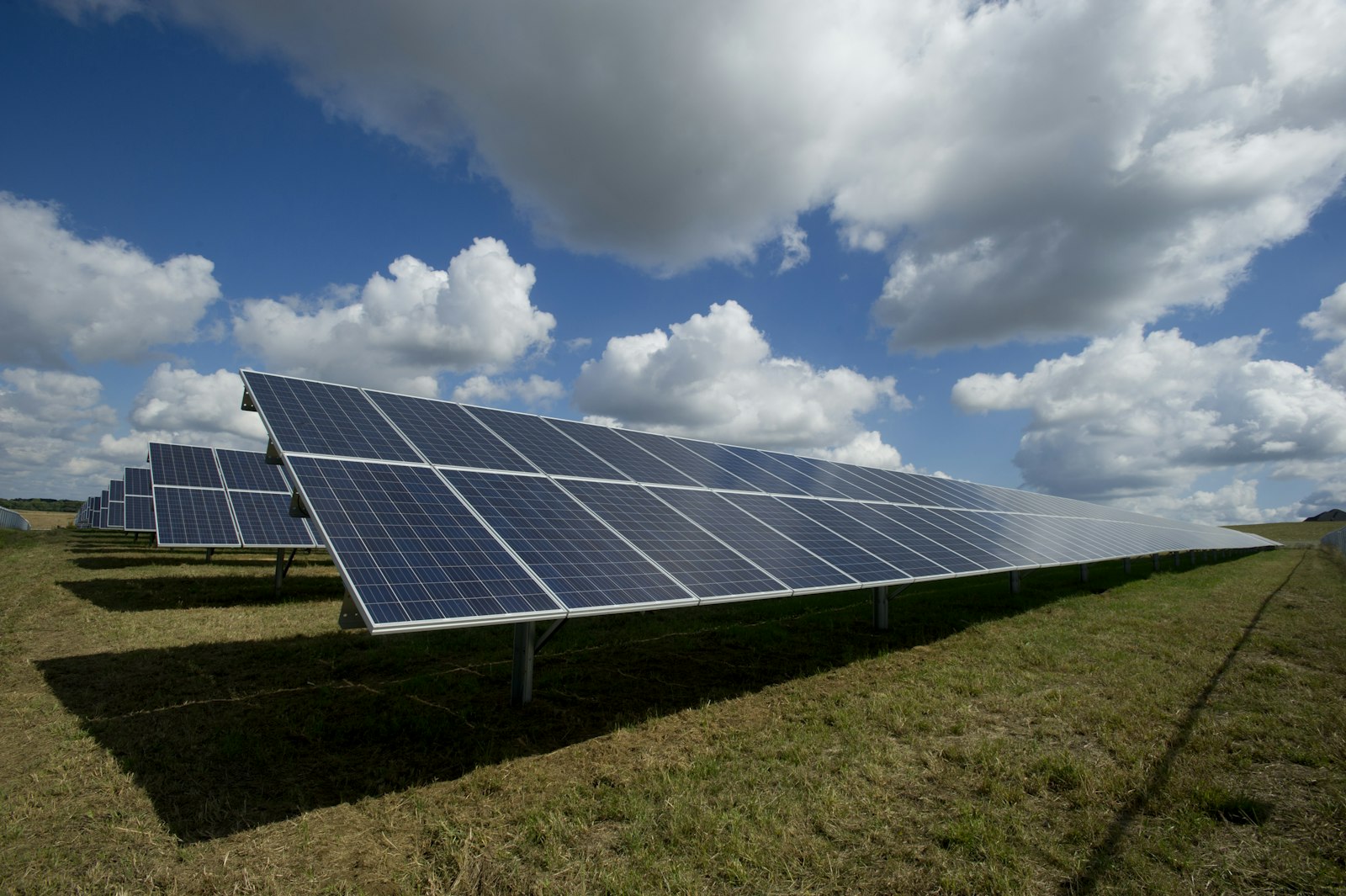Paneles solares en un proyecto fotovoltaico